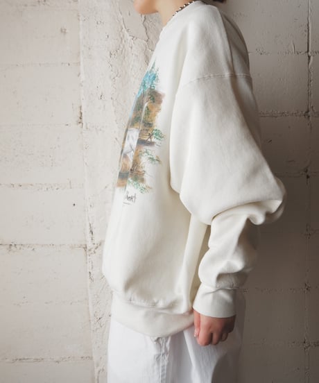 Hand Paint Dog Sweat IV
