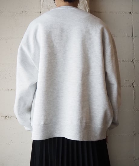NOTRE DAME Champion USA Sweat GR