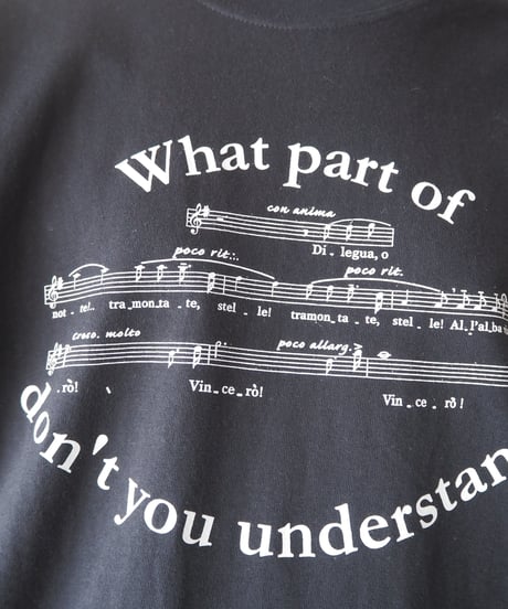 “What Part of don't you understand”Tee BK