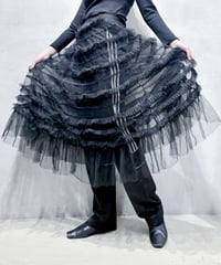 Lace Trim Ruffled Tulle Skirt BK