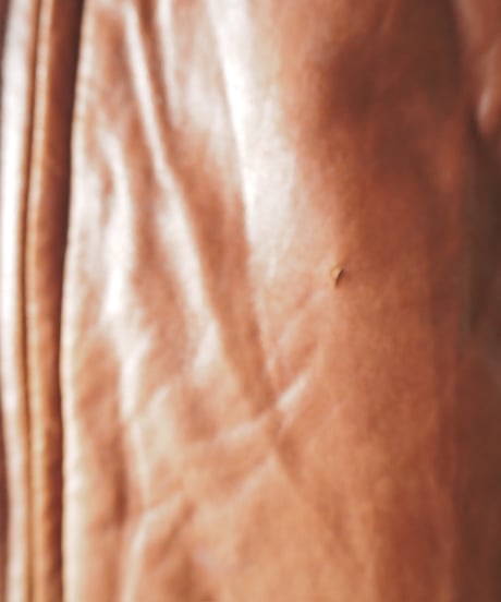 Zipup Leather Jacket BR