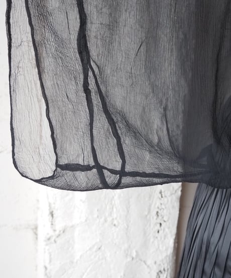 Wide Silhouette Sheer Blouse BK