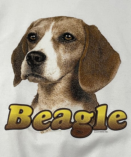 Beagle Print Sweat WH