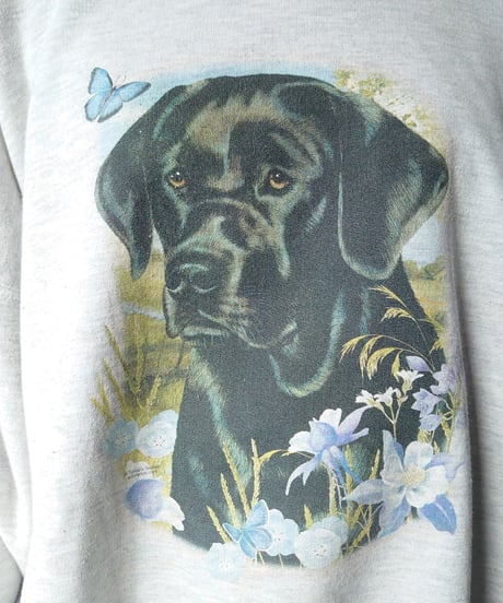 LABLADOR RETRIEVER Print Sweat GR