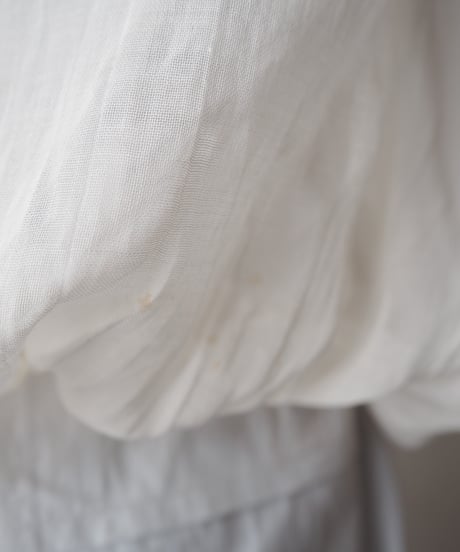 Hungarian Hand Embroidered Sheer Blouse WHRE
