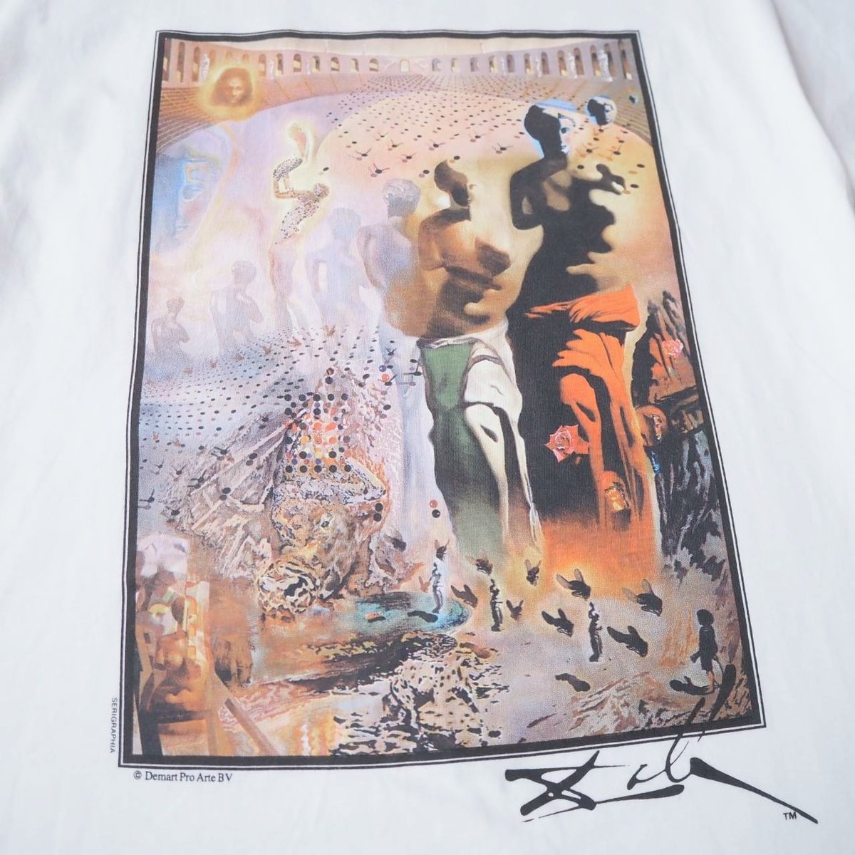 USA製 90’s 幻覚剤的闘牛士 salvador dali Tシャツ ダリ 90年代 90s アメリカ製 サルバドールダリ | ビンテージ古着屋Feeet