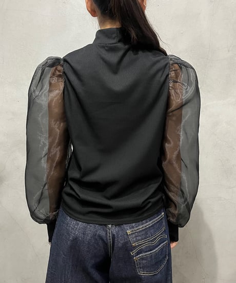 Sheer Sleeve High Neck Tops BK