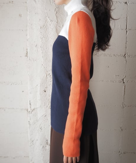 Ralph Lauren Tricolor Turtle Neck Rib Knit ORWHNV