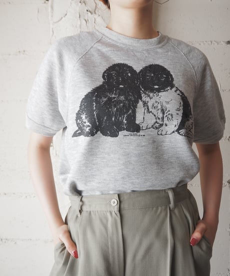 2Dog Print Shfrt Sleeve Sweat GR