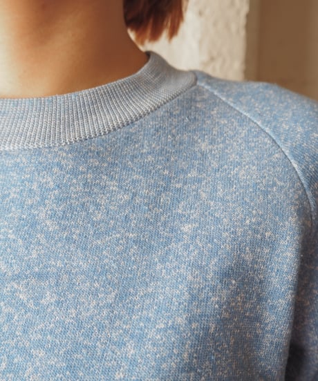1980's Plane Sweat LBL