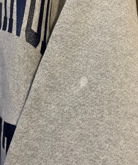 Champion Reverse Weave GR