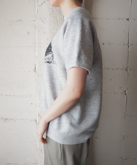 2Dog Print Shfrt Sleeve Sweat GR
