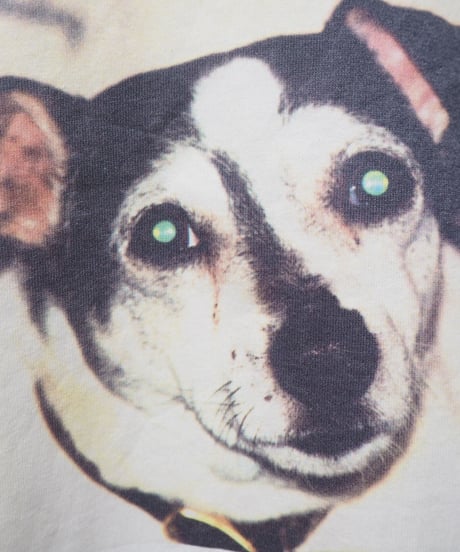 Dog Photo Tee WH