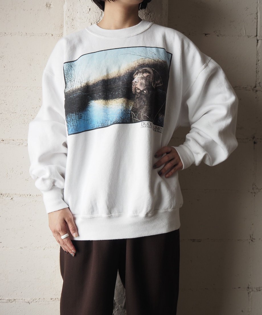 633bb2f74aed19507c280764