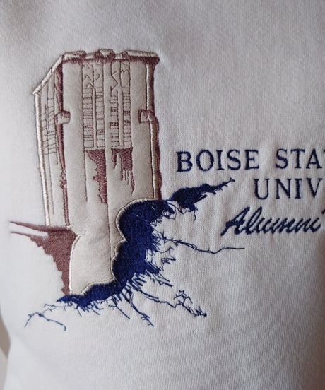 BOISE STATE UNIVERSITY Sweat IV