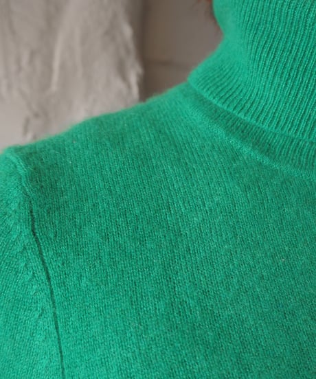 Cashmere Turtle Neck Knit GN