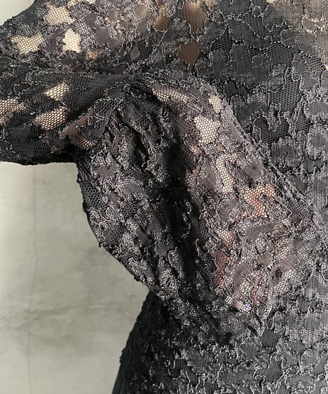 Flared Sleeve Lace Cutsewn BK