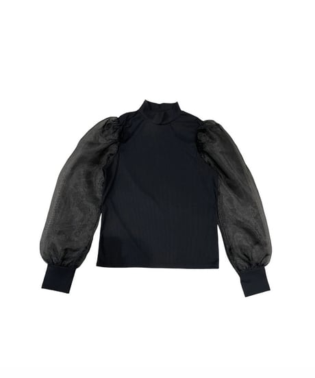 Sheer Sleeve High Neck Tops BK