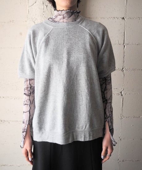 Hanes Raglan Short Sleeve Sweat GR