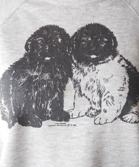 2Dog Print Shfrt Sleeve Sweat GR
