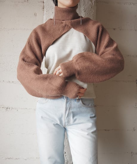 Turtle Neck Sleeve Knit BE