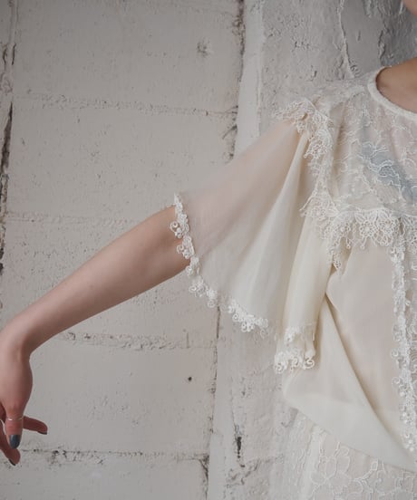 1970's Jessica Lace and Chiffon Sheer Dress WH