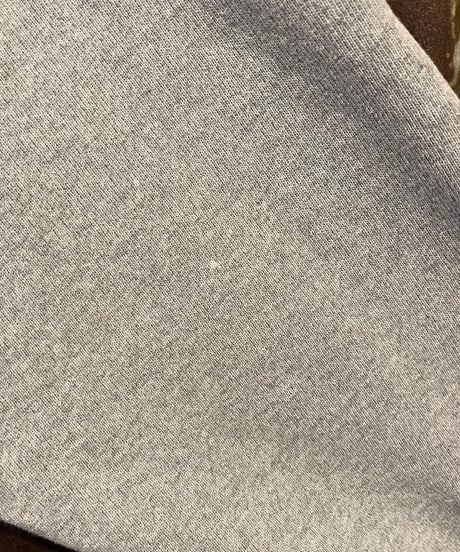 Champion Reverse Weave GR
