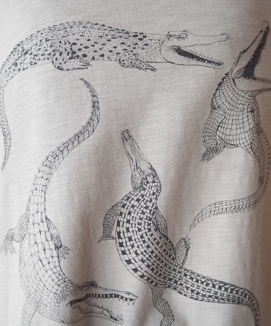 6620c5b493e0d70a872dad9f