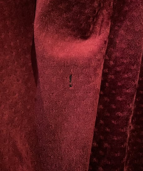 Frilled Velour Dress WRE