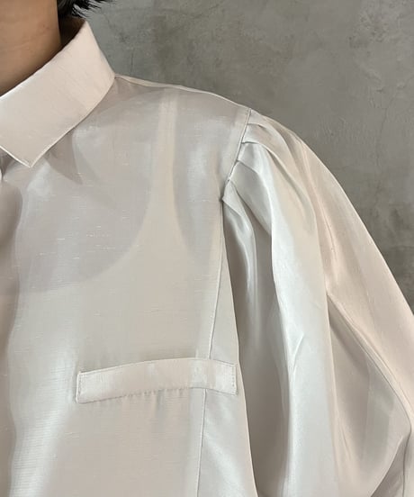 Pleated Dolman Sleeve Blouse WH
