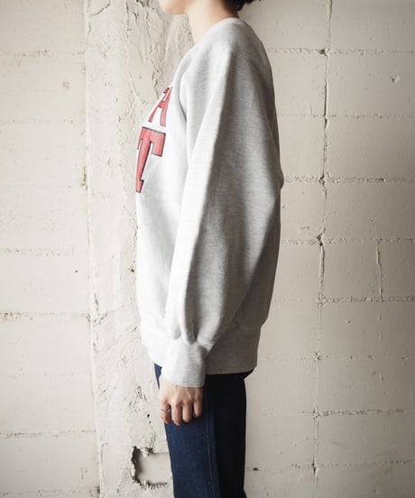 Champion Reverse Weave DULUTH EAST Sweat GR