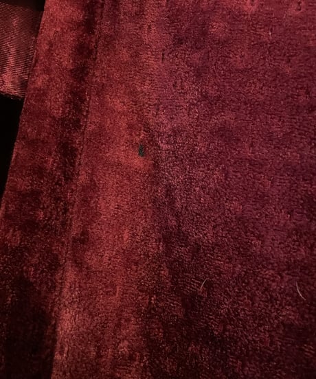 Frilled Velour Dress WRE