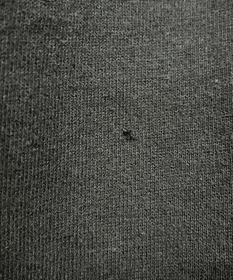 Lion Print Sweat BK