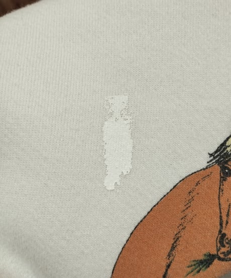Horse Print Painted Sweat WH