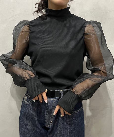 Sheer Sleeve High Neck Tops BK