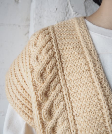 Front Button Knit Vest IV