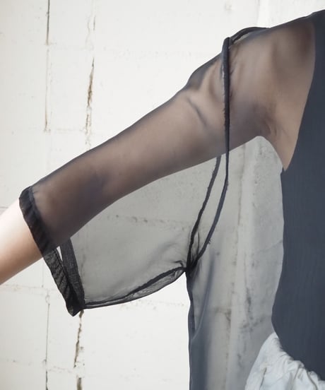 Short Sleeve See Through Blouse BK