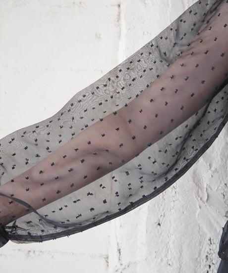 Sheer Dot Long Sleeve Blouse BK