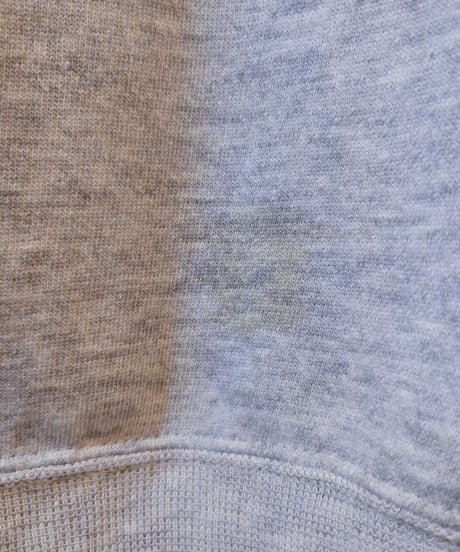 2Dog Print Shfrt Sleeve Sweat GR