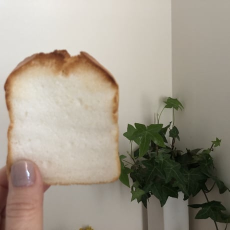 はじめまして！おこめぱん