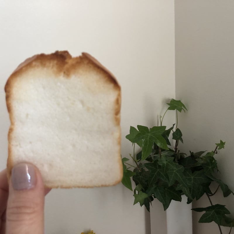 おこめぱんページ はじめまして！おこめぱん | comeco LABO