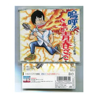 [1500円以上のご購入で送料無料！！] 嗚呼！！されど青春ごっこ/THE イナズマ戦隊(ザ・イナズマセンタイ)