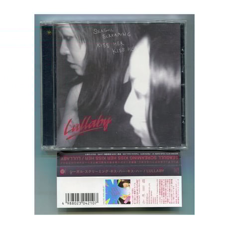 シーガル・スクリーミング・キス・ハー・キ | STORES