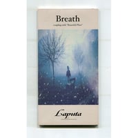 1500円以上のご購入で送料無料！！] Feelin' the sky/Laputa(ラピュ