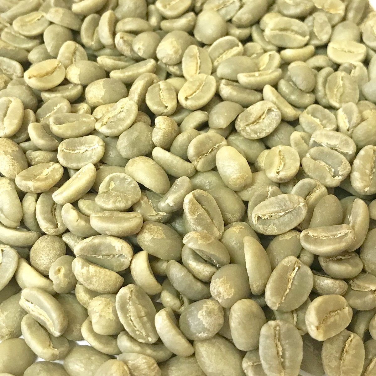 パプアニューギニア AA Sigri | かげろう珈琲