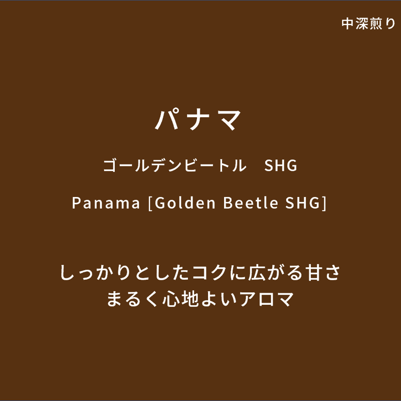 生豆 パナマ ゴールデンビートル SHB 10kg コーヒー 珈琲生豆 ワールドビーンズショップ / パナマ ゴールデンビートル SHB