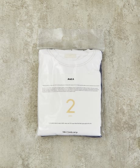 And A アンドエー / 88・12 2PACK S/S T-SHIRT アスレチックコットンレーヨンパックTシャツ / AA-S24M004