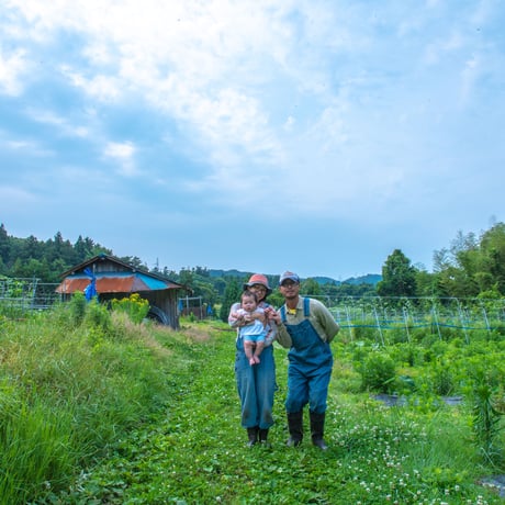 【とても希少な自然栽培＆固定種のみ】自然と一緒に育てた旬の野菜セット6~7種類