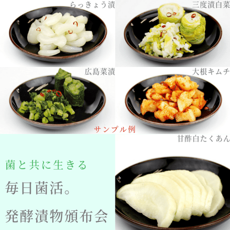 毎日菌活。自然発酵漬物定期便