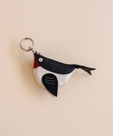 swallow Pouch